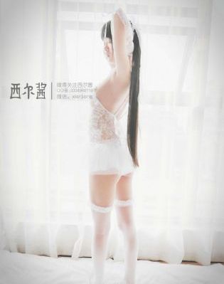 免费下载小说_高清完整版BD