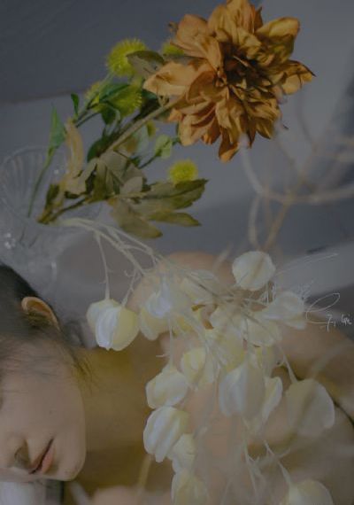 欧美常见草本景观植物名称_DVD在线视频观看